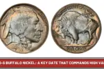 Buffalo Nickel